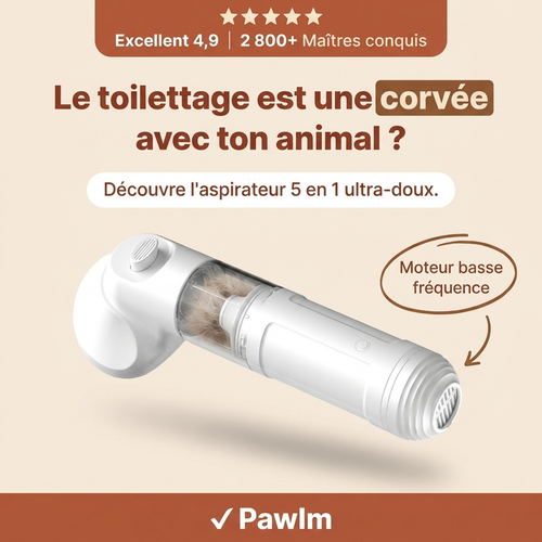 Pawlm — le toilettage est une corvée